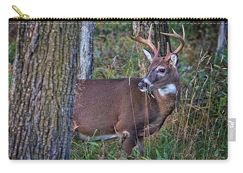 Deer Zip Pouch featuring the photograph Deer in the Woods by Jaki Miller