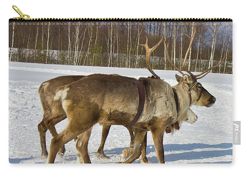 Deer Zip Pouch featuring the photograph Deers running on snow by Irina Afonskaya