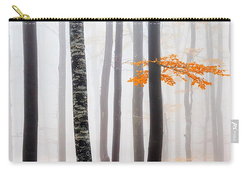 Balkan Mountains Carry-all Pouch featuring the photograph Delicate Forest by Evgeni Dinev