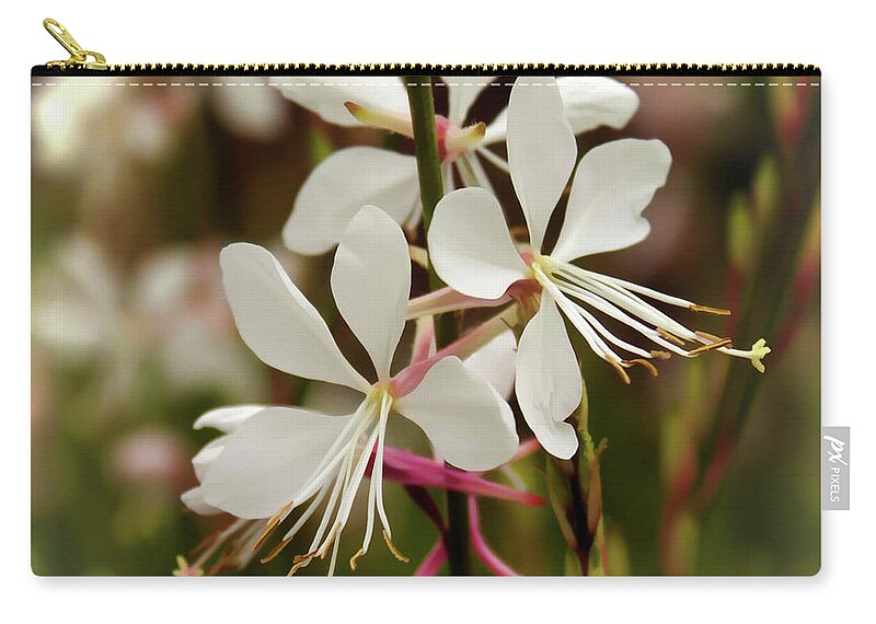 Nature Zip Pouch featuring the photograph Delicate Gaura Flowers by Joann Copeland-Paul