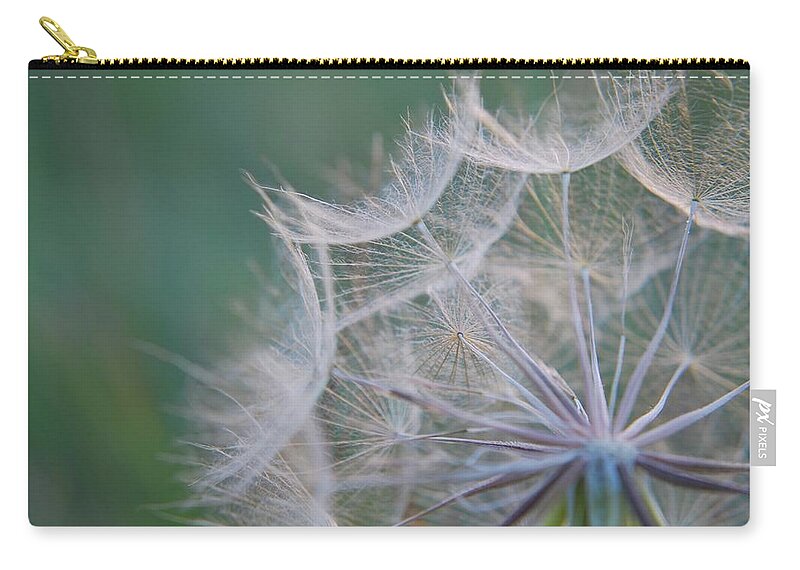 Nature Zip Pouch featuring the photograph Delicate Seeds by Amee Cave
