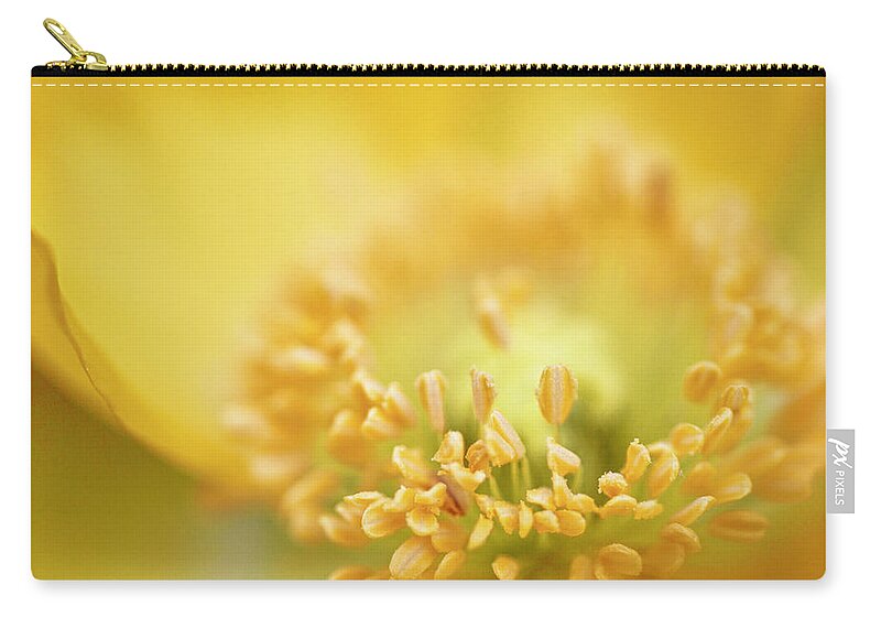 Flowers & Plants Zip Pouch featuring the photograph Delicate yellow poppy by Jeff Folger