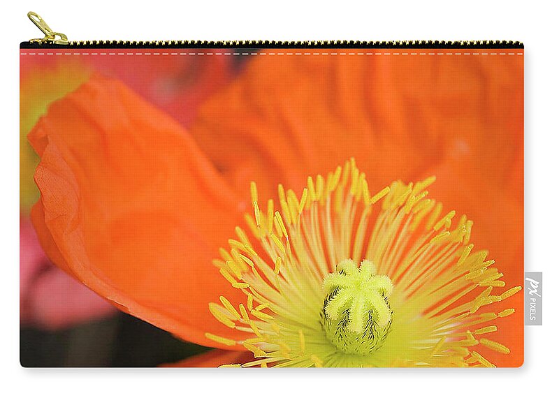 Jigsaw Puzzle Zip Pouch featuring the photograph Delightful by Carole Gordon