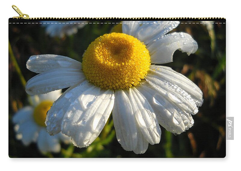 Close Up Zip Pouch featuring the photograph Delightful Dew Drops by Kent Lorentzen