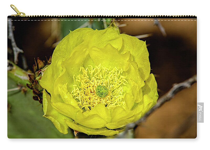 Nature Zip Pouch featuring the photograph Desert Beauty h41 by Mark Myhaver