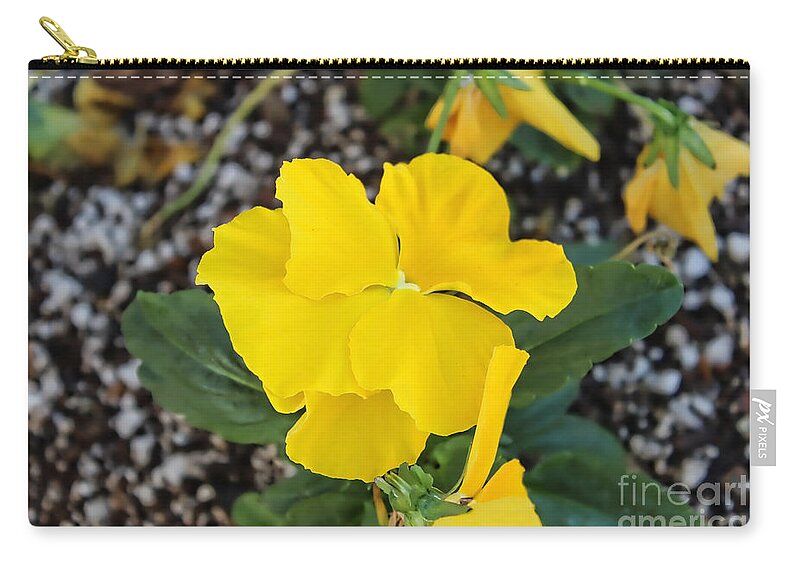 Macro Zip Pouch featuring the photograph Floral Desert Beauty by Roberta Byram