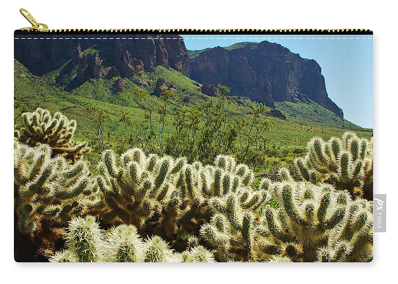 Arizona Zip Pouch featuring the photograph Desert Cholla 1 by Jill Reger