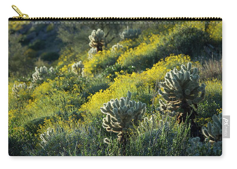 Spring Zip Pouch featuring the photograph Desert Color and Light by Sue Cullumber