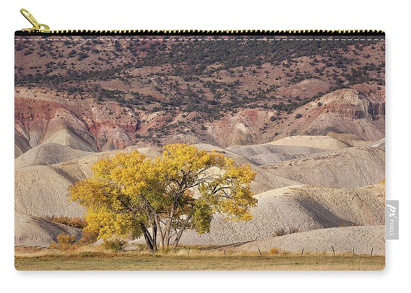 Cottonwood Carry-all Pouch featuring the photograph Desert Gold by Denise Bush