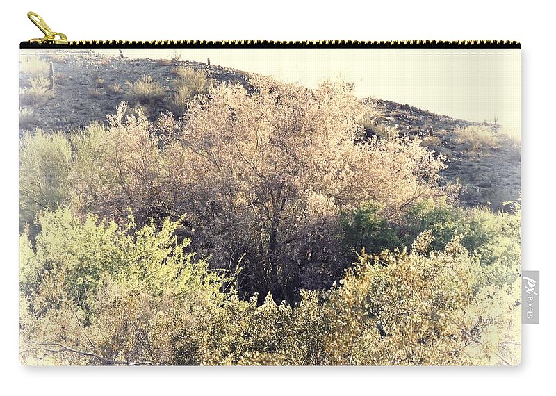 Afternoon Light Carry-all Pouch featuring the photograph Desert Ironwood Afternoon by Judy Kennedy