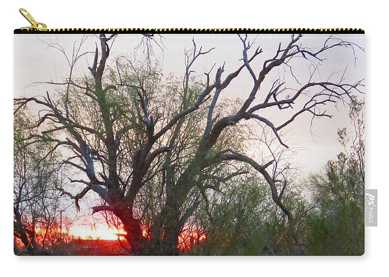 Arizona Zip Pouch featuring the photograph Desert Ironwood Sunrise by Judy Kennedy