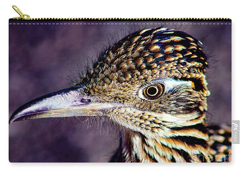 Bird Zip Pouch featuring the photograph Desert Predator by Adam Morsa