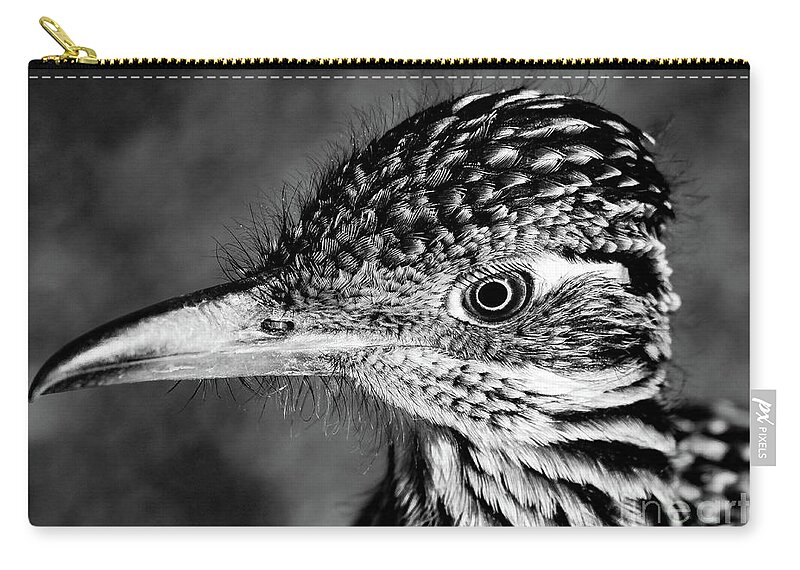 Bird Zip Pouch featuring the photograph Desert Predator, Black and White by Adam Morsa