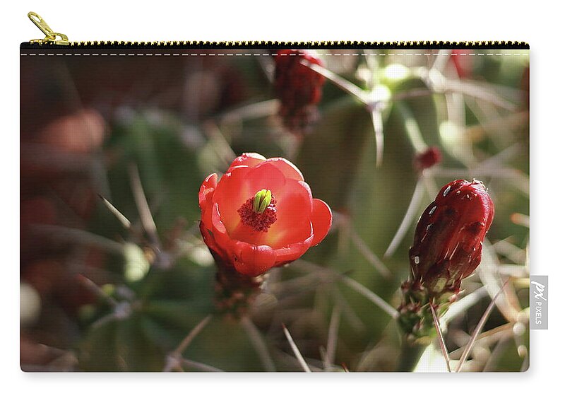 Cactus Zip Pouch featuring the photograph Desert Rose by David Diaz