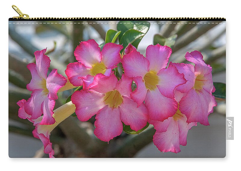 Scenic Zip Pouch featuring the photograph Desert Rose or Chuanchom DTHB2105 by Gerry Gantt