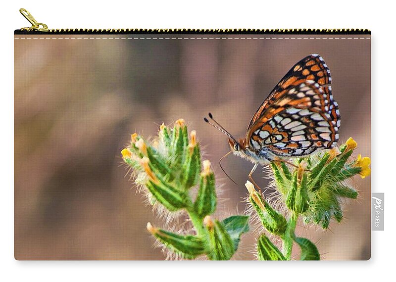 Mohave Desert Carry-all Pouch featuring the photograph Desert spring life by Tatiana Travelways