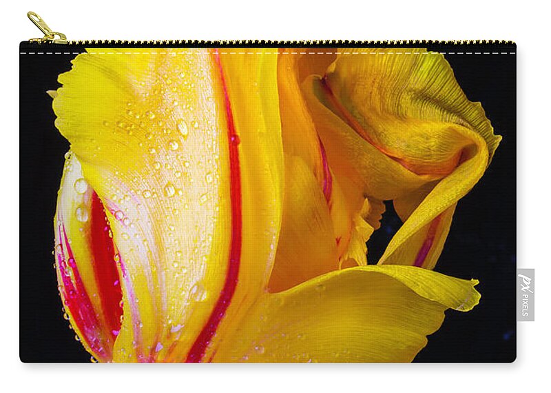 Green Zip Pouch featuring the photograph Dew Covered Tulip by Garry Gay