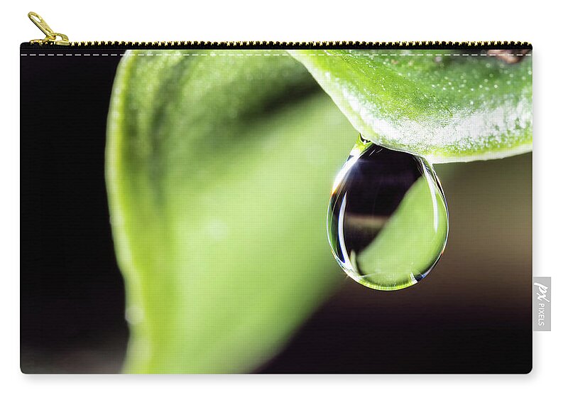 Dew Drop Plant Leaf Leaves Macro Closeup Close Up Botany Zip Pouch featuring the photograph Dew drop by Brian Hale