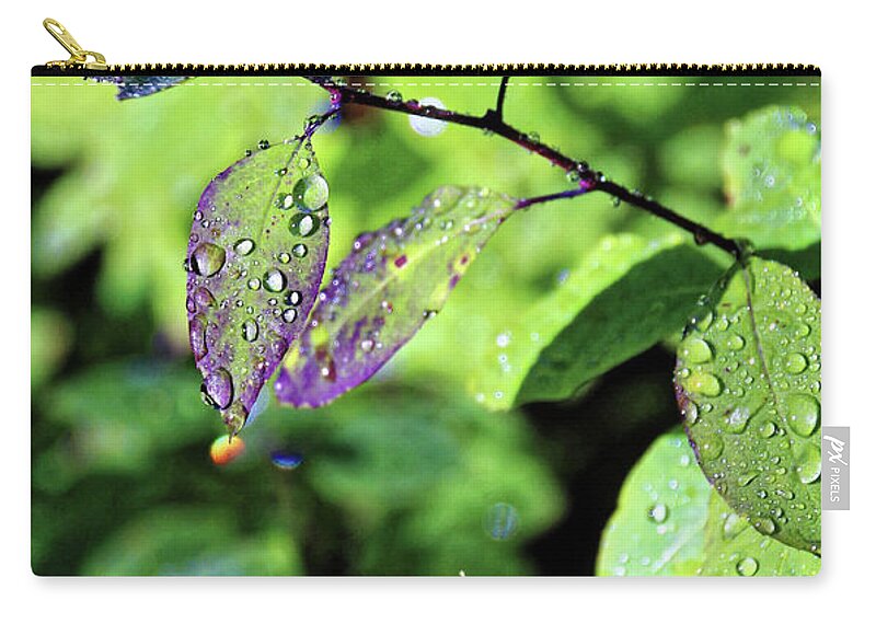 Mini Rainbow Zip Pouch featuring the photograph Dew Drop Leaves by Doolittle Photography and Art