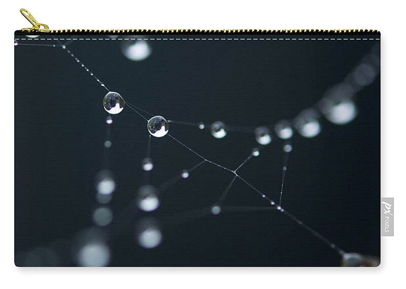 Dew Zip Pouch featuring the photograph Dewdrop on cobweb 002 by Clayton Bastiani