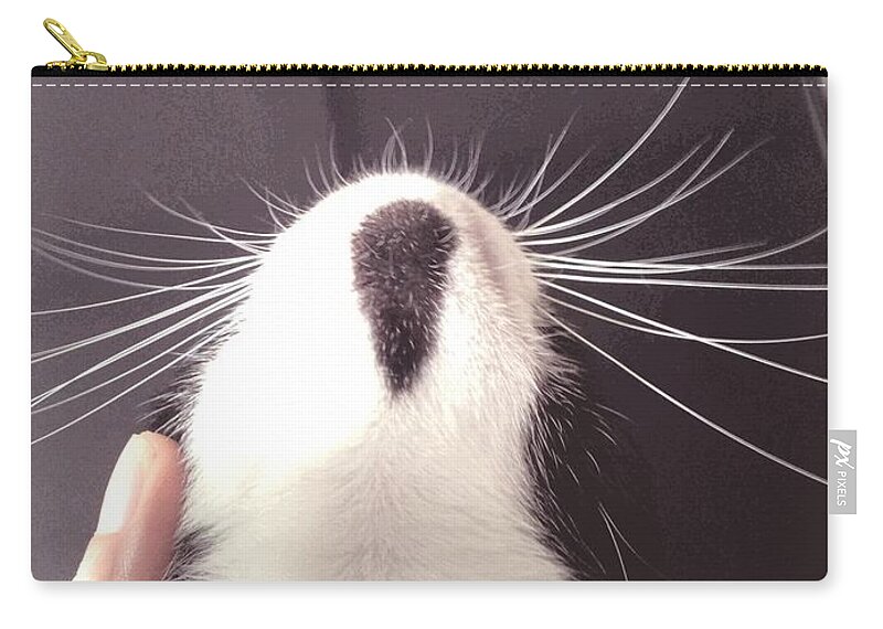 Chin Zip Pouch featuring the photograph Dewdrop to GATchee's Chin by Sukalya Chearanantana