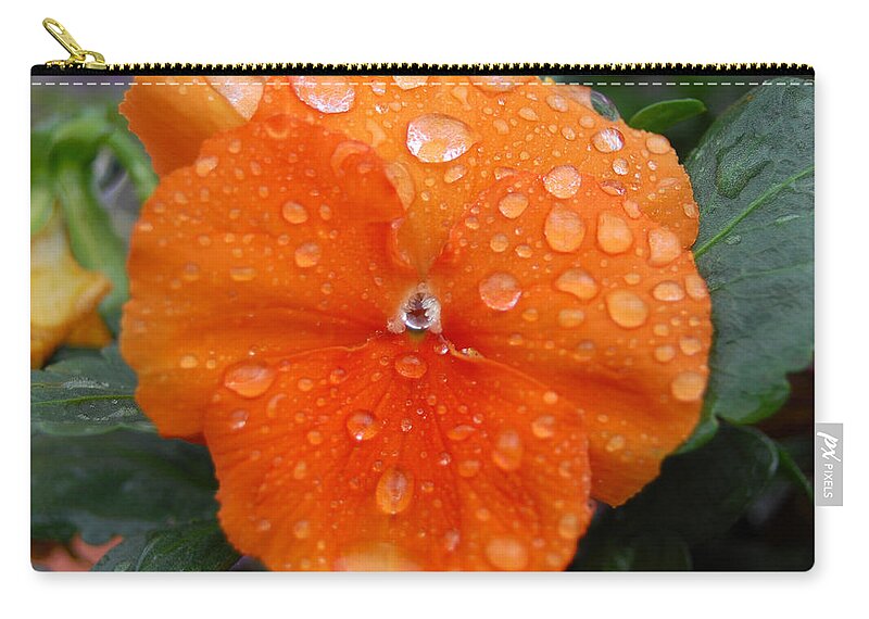 Flower Carry-all Pouch featuring the photograph Dewy Pansy 1 by Amy Fose