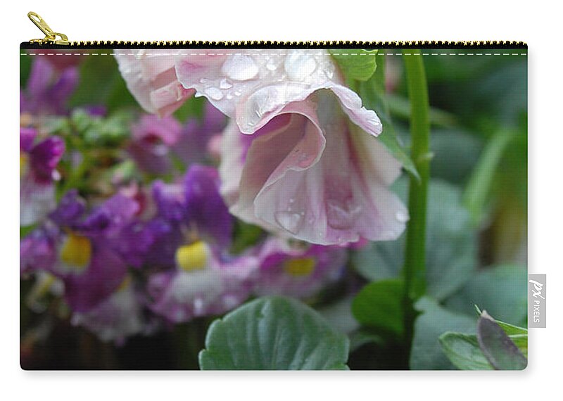 Pansy Zip Pouch featuring the photograph Dewy Pansy 4 by Amy Fose