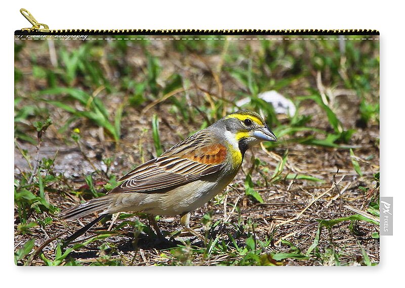 Dickcissel Zip Pouch featuring the photograph Dickcissel by Barbara Bowen