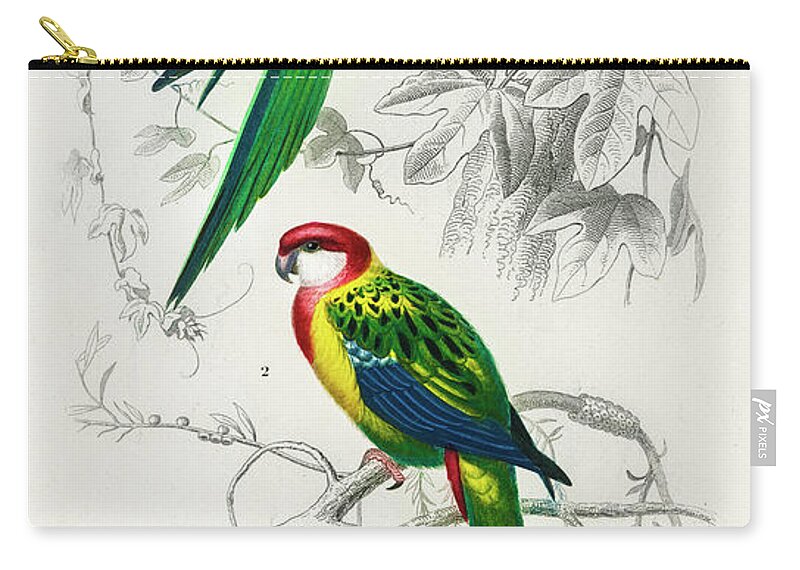 Birds Zip Pouch featuring the painting Different illustrated types of birds by Vincent Monozlay