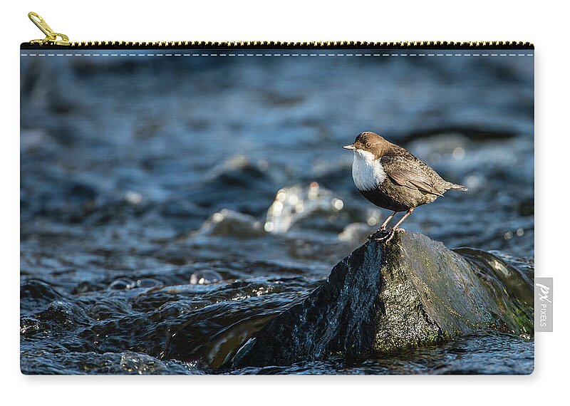Dipper On The Rock Carry-all Pouch featuring the photograph Dipper on the rock by Torbjorn Swenelius