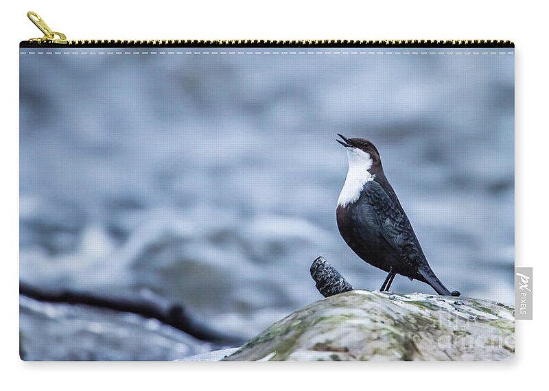 Dipper's Call Carry-all Pouch featuring the photograph Dipper's Call by Torbjorn Swenelius
