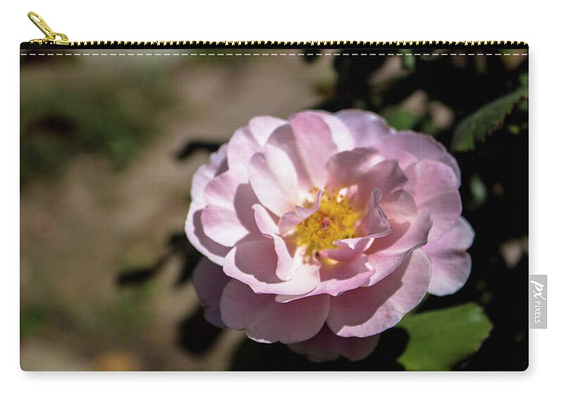 Close-up Carry-all Pouch featuring the photograph Distant Drums Rose - 2 by K Bradley Washburn