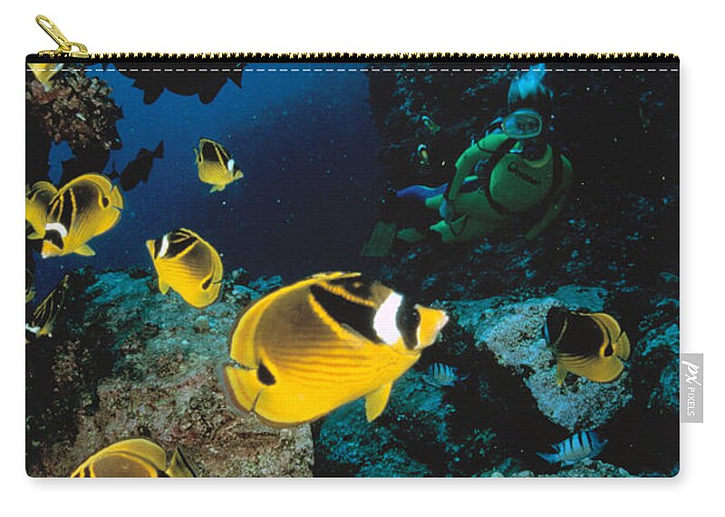 Animal Art Zip Pouch featuring the photograph Diver And Butterflyfish by Dave Fleetham - Printscapes
