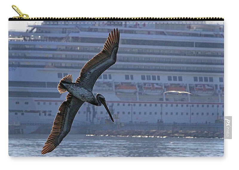 Pelican Zip Pouch featuring the photograph Diving for Breakfast by Shoal Hollingsworth