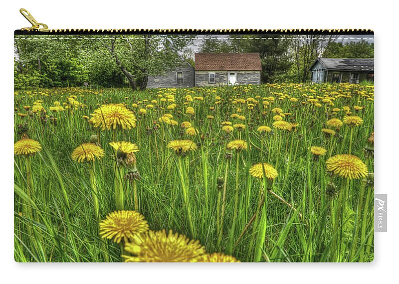 Dandelions Carry-all Pouch featuring the photograph Dlion Delit by Jeff Cooper