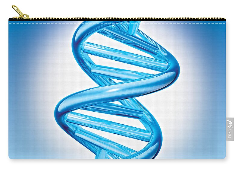 Dna Zip Pouch featuring the digital art DNA Double Helix by Marc Phares and Photo Researchers