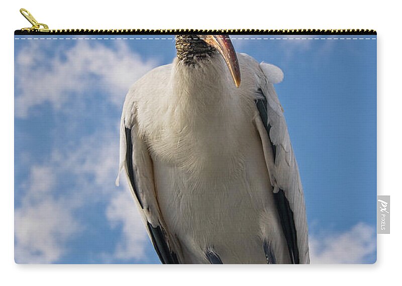 Stork Carry-all Pouch featuring the photograph Do I Know You by Christopher Holmes