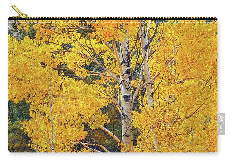 Aspen Leaves Zip Pouch featuring the photograph Do Not Learn How To React. Learn How To Respond. by Bijan Pirnia