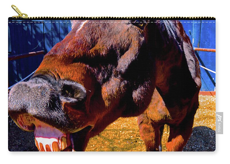 Horse Zip Pouch featuring the photograph Do You Have a Treat For Me? by Cindy Schneider
