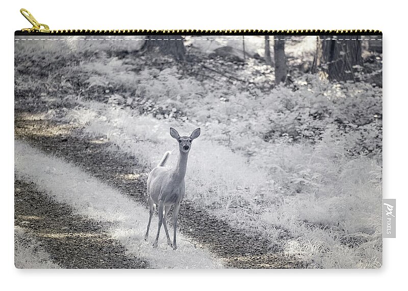 Doe Deer Nature Natural Outside Outdoors Ir Infrared Infra Red 720nm 720 Nm Nanometer Wildlife Wild Life Wilderness Woods Forest Secluded Sterling Ma Mass Massachusetts Wachusett Reservoir Dcr U.s.a. Usa Brian Hale Brianhalephoto Zip Pouch featuring the photograph Doe in Infrared by Brian Hale