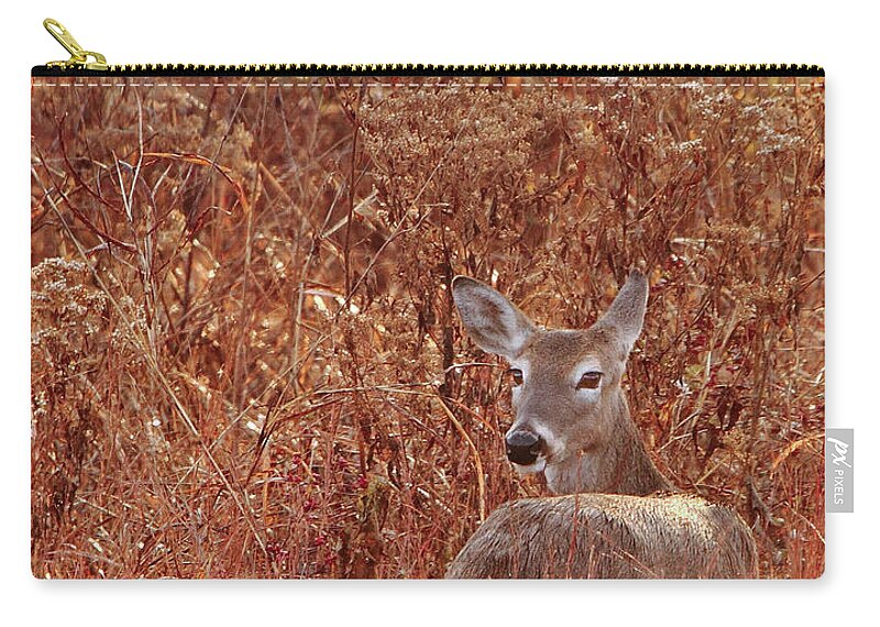 Wildlife Zip Pouch featuring the photograph Doe In Red Grass by Robert Frederick