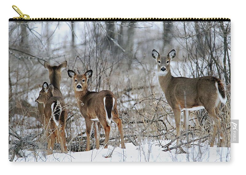 Doe Zip Pouch featuring the photograph Does and Fawns by Brook Burling
