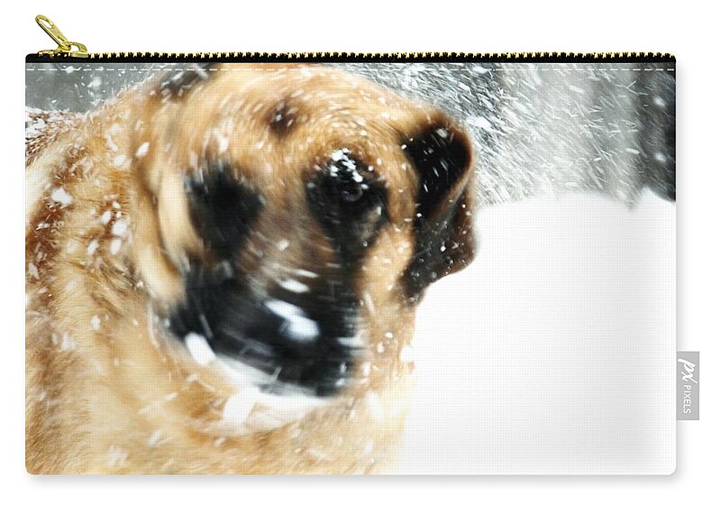 Animals Zip Pouch featuring the photograph Dog Blizzard - German Shepherd by Angie Tirado