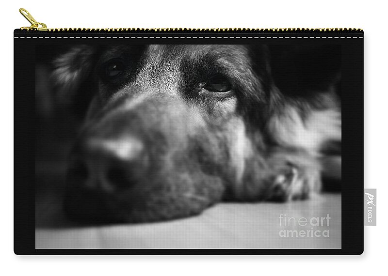 Tired Carry-all Pouch featuring the photograph Dog Eyes Always Watching by Frank J Casella
