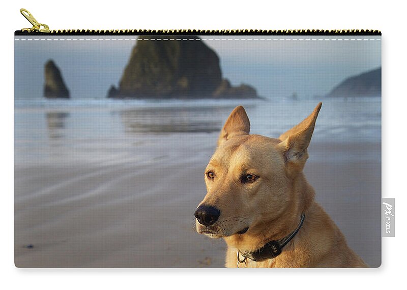 Dog Zip Pouch featuring the photograph Dog Portrait @ Cannon Beach by Bruce Block