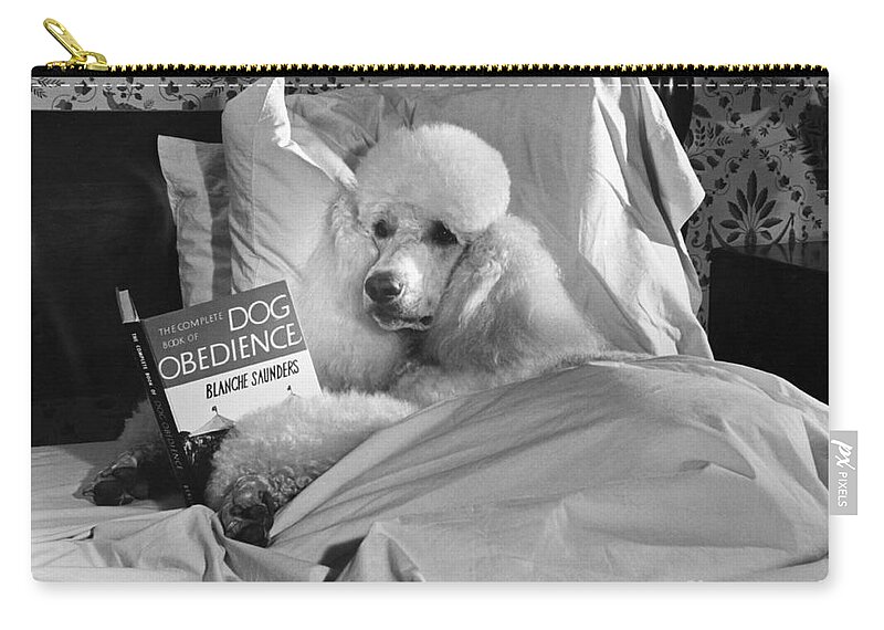 Animal Carry-all Pouch featuring the photograph Dog Reading in Bed by M E Browning and Photo Researchers