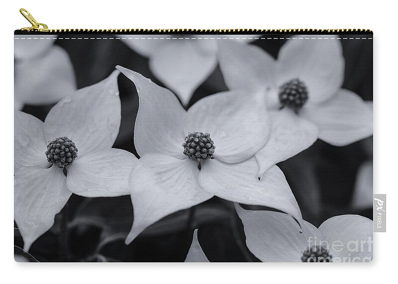 Dogwood In Monochrome Zip Pouch featuring the photograph Dogwood in Monochrome by Rachel Cohen
