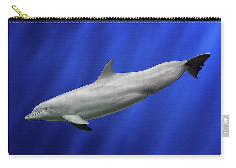 Dolphin Zip Pouch featuring the photograph Dolphin by Giovanni Allievi