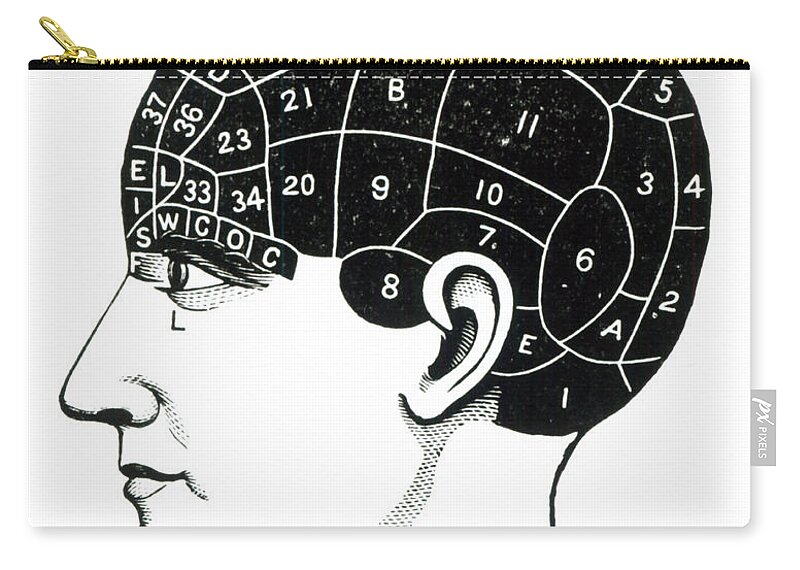 Phrenology Zip Pouch featuring the drawing Domestic Propensities by English School