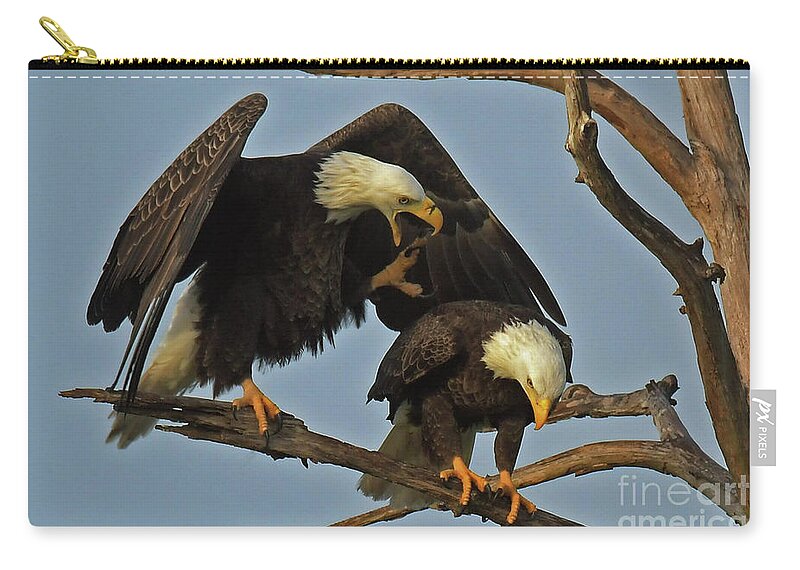 Bald Eagles Zip Pouch featuring the photograph Dominant Harriet by Liz Grindstaff